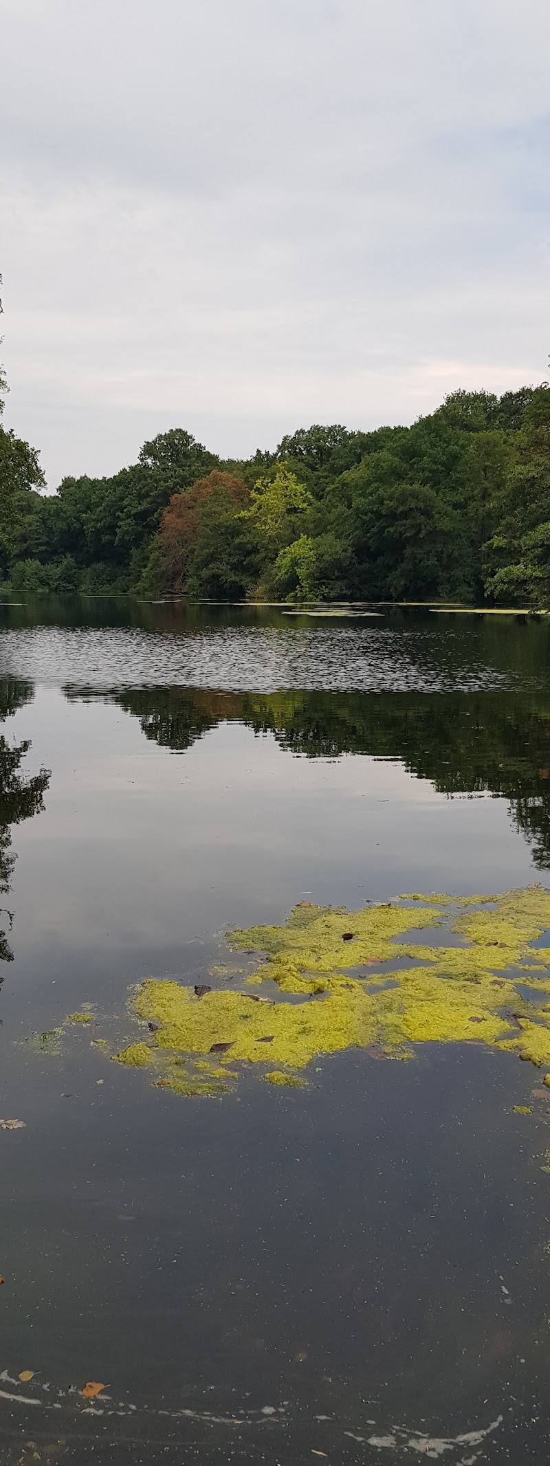 Eel River Preserve (Boot Pond Road) — Place photograph