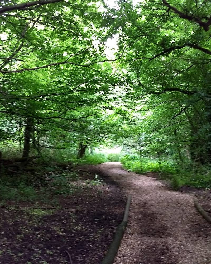 Boston Manor Nature Trails — Source image
