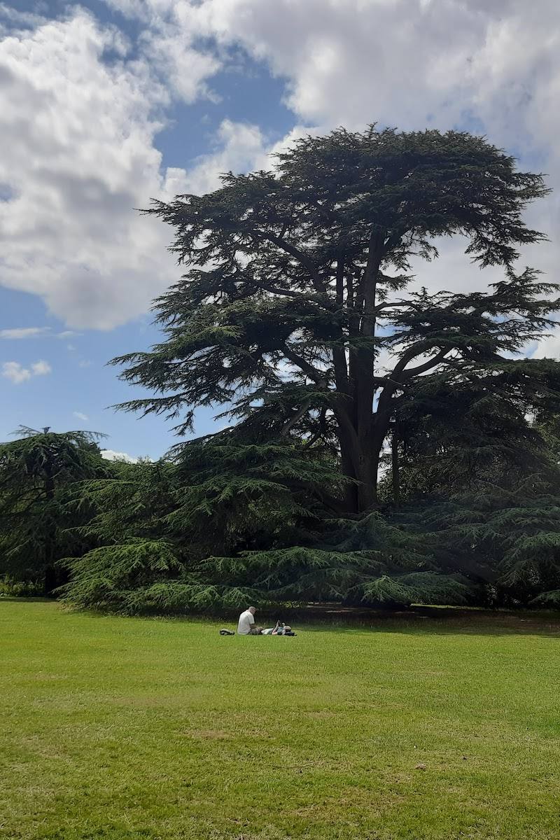 Boston Manor Park — Place photograph