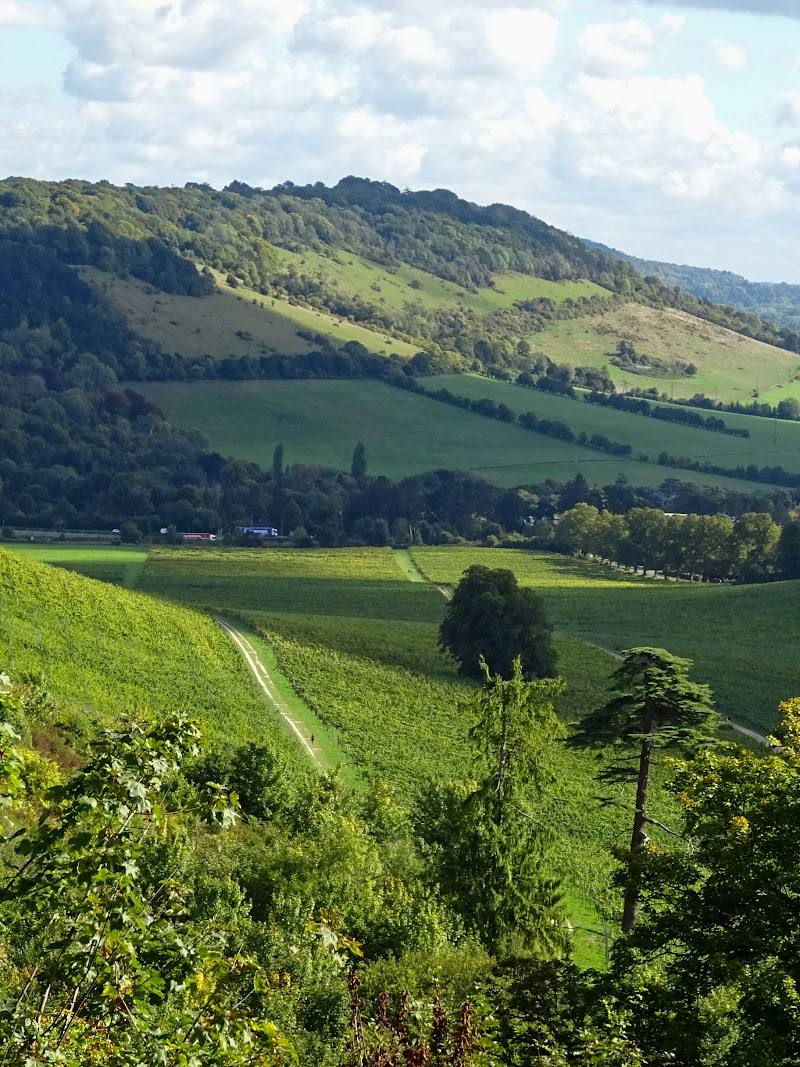 Box Hill Viewpoint — Place photograph