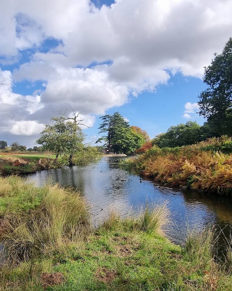 Bradgate Park — Source image