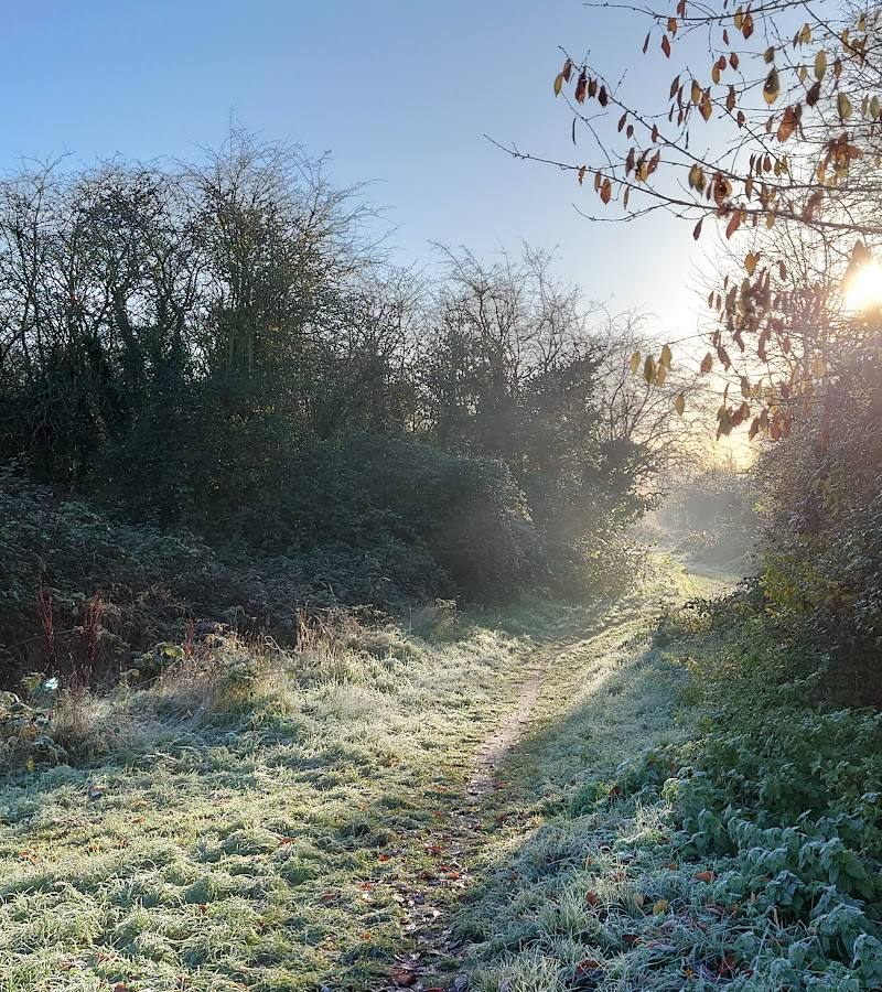 Bramblefields Local Nature Reserve — Place photograph