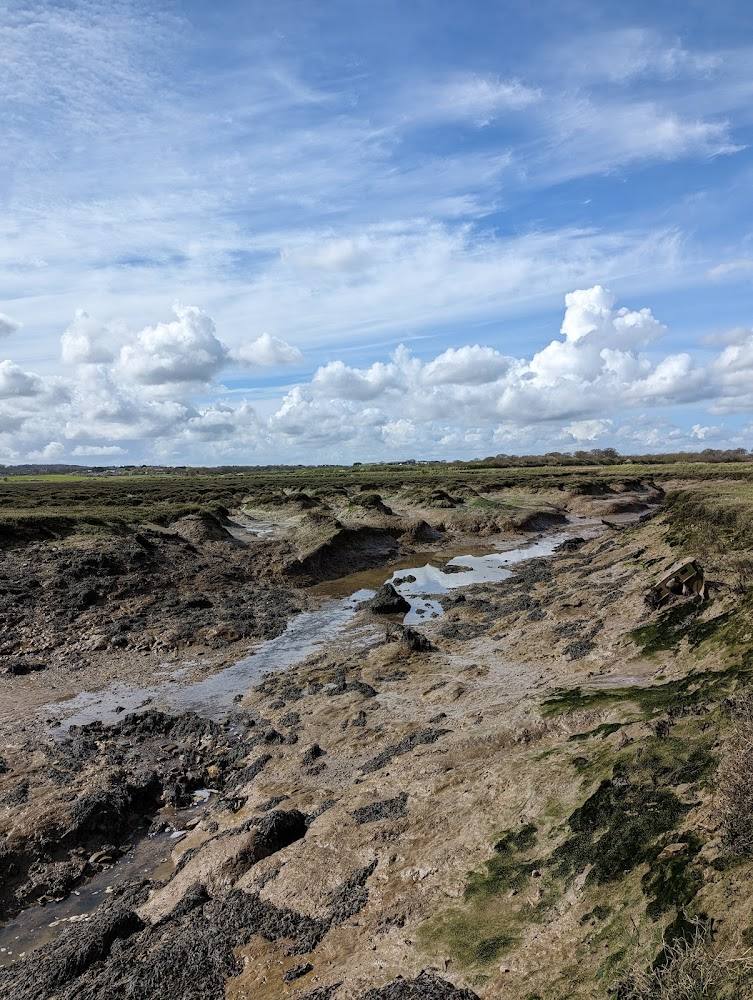 Brandy Hole Saltmarsh — Source image