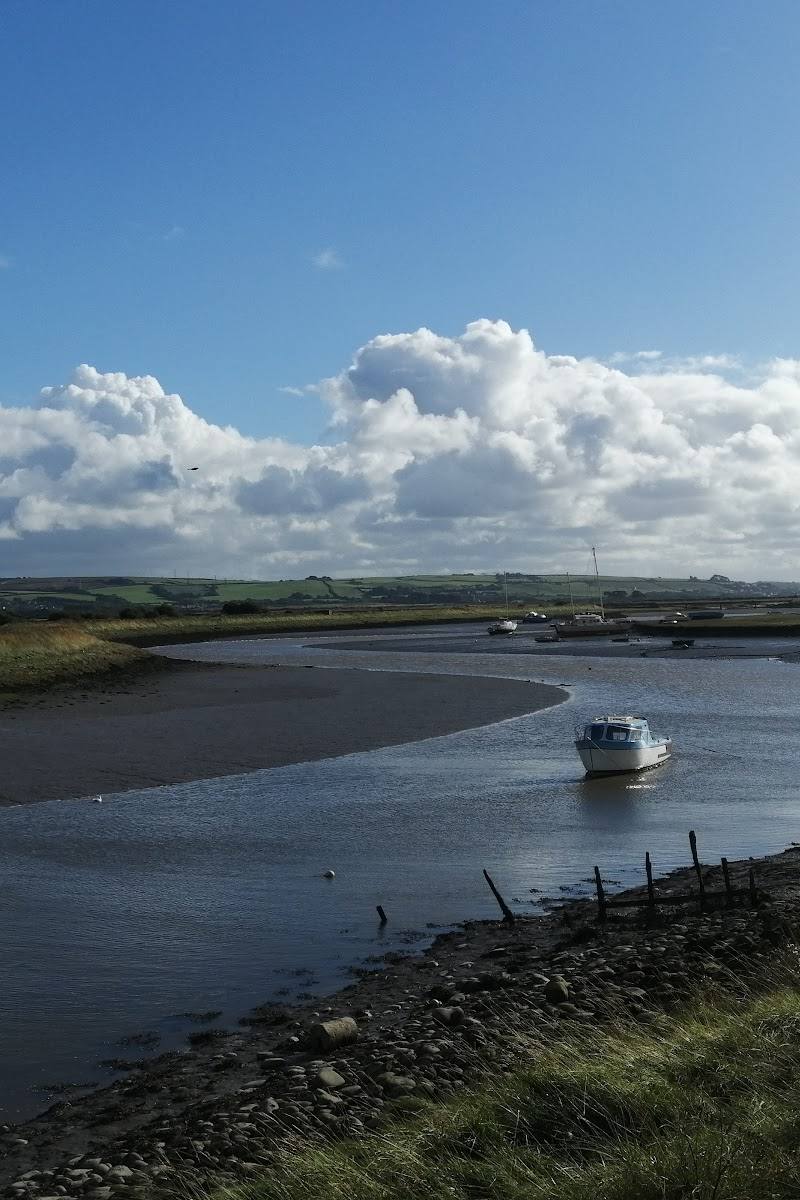 Braunton Burrows
