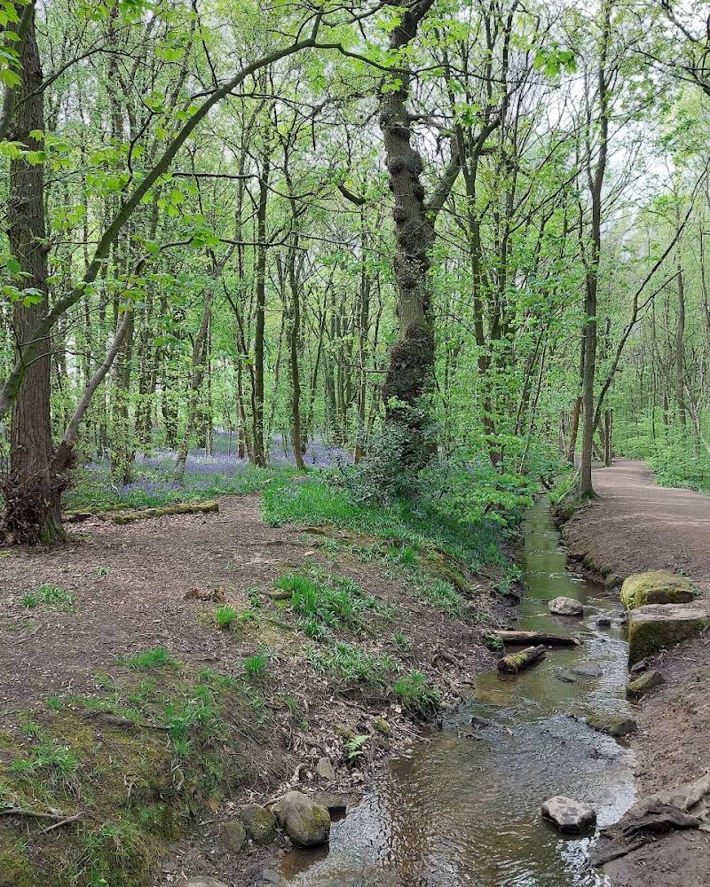 Breary Marsh — Source image