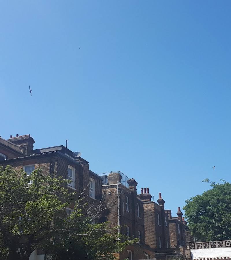 Brent and Westminster Swifts Group — Place photograph