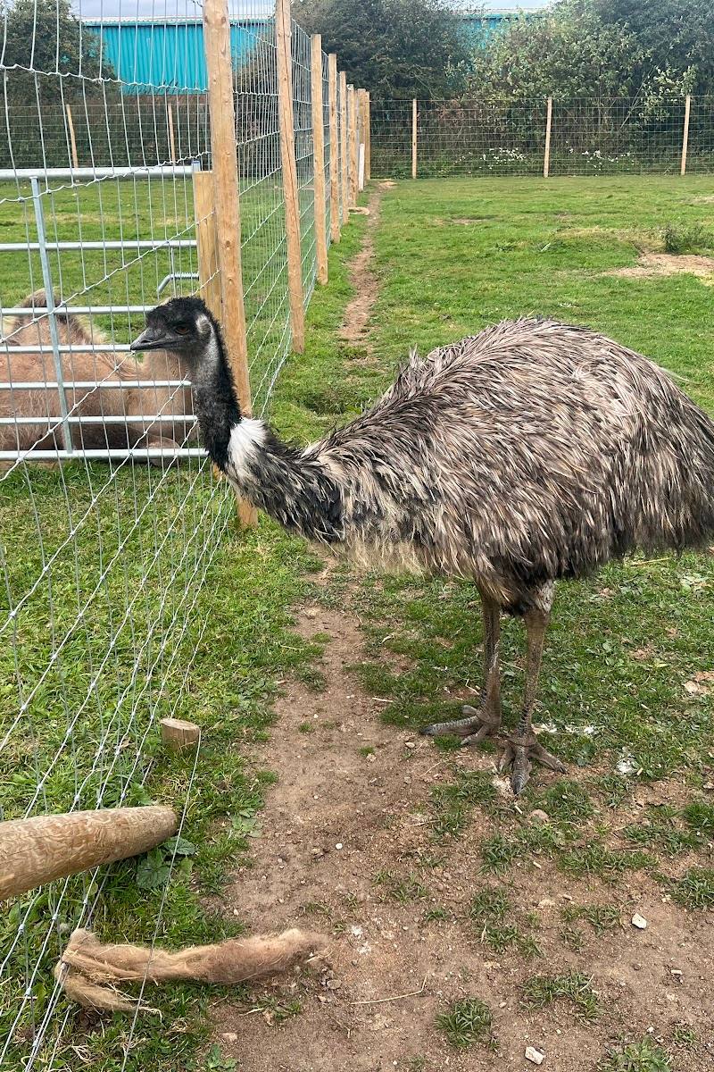 Bridlington Animal Park