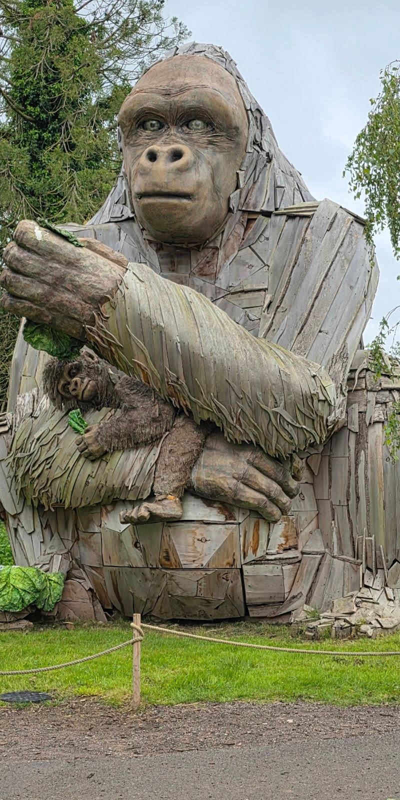 Bristol Zoo Project