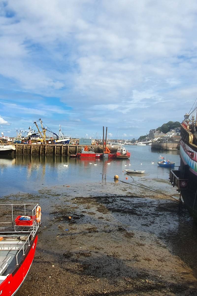 Brixham Harbour — Place photograph