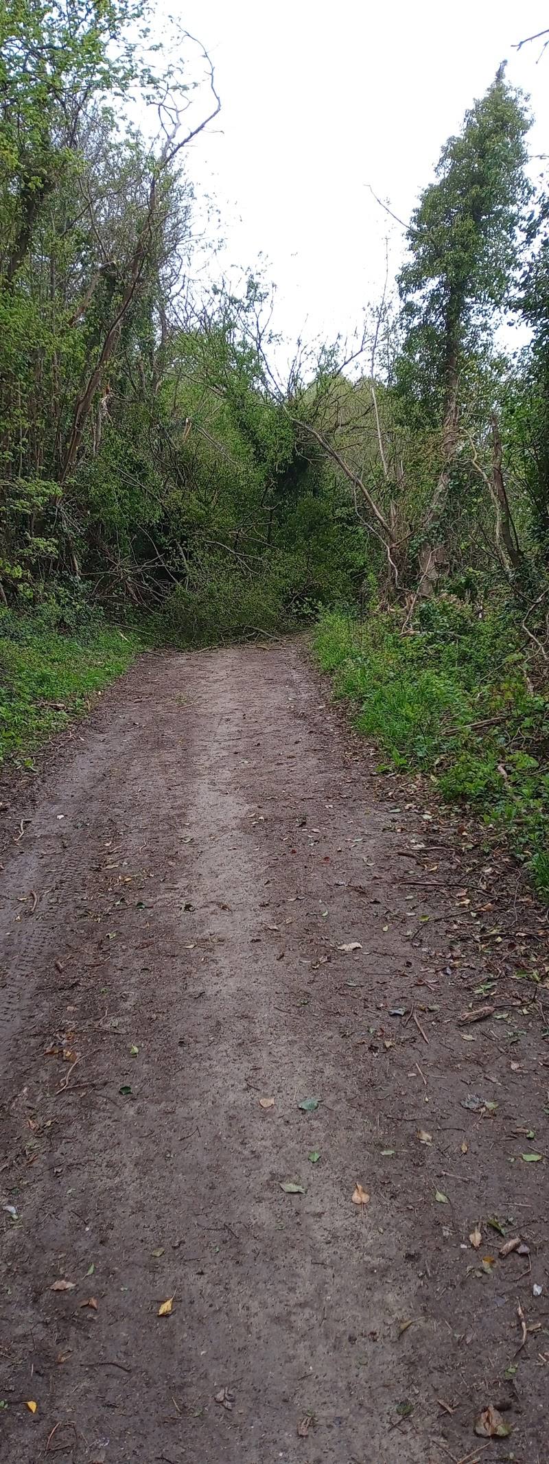 Broadham Down