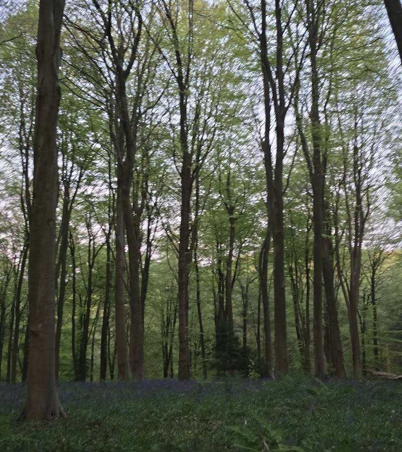 Broadham Down — Place photograph