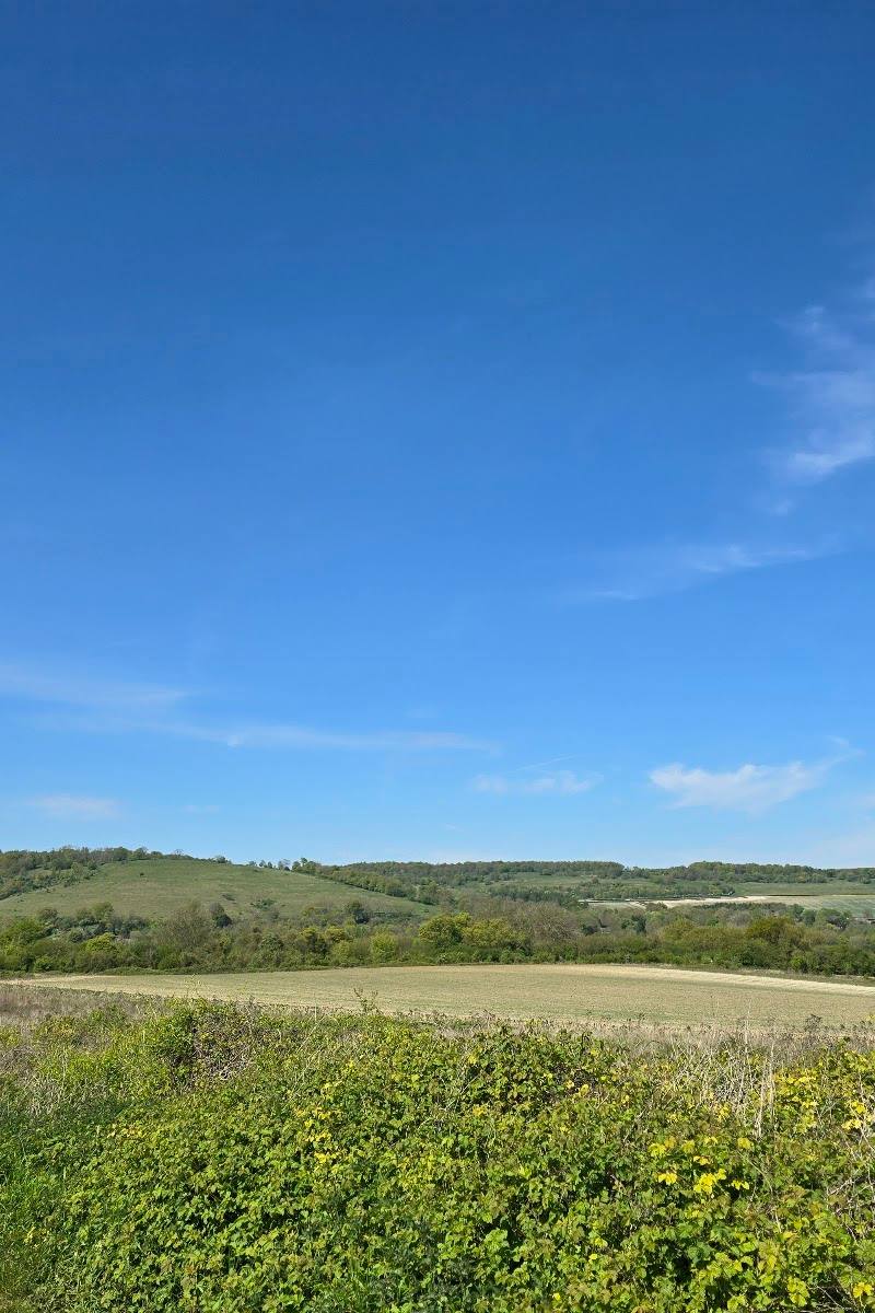Broadham Down