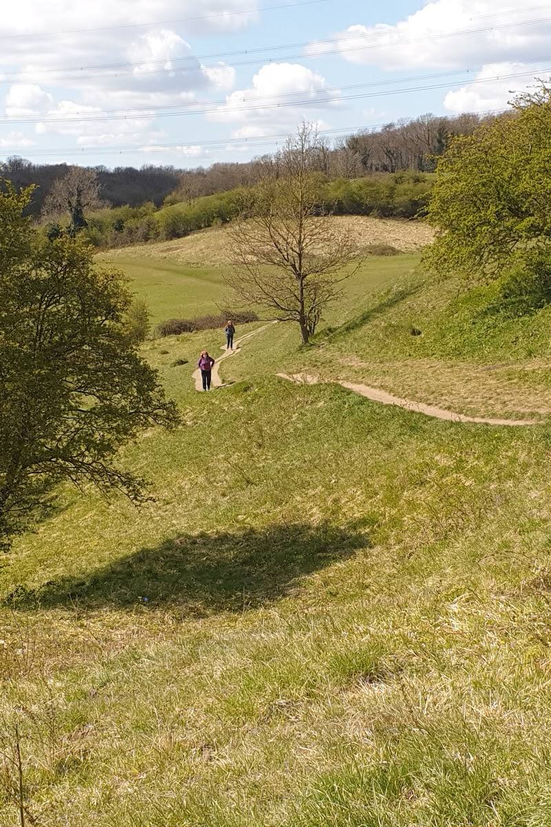 Brockadale Nature Reserve — Place photograph