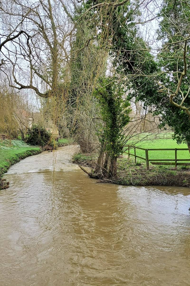 Brockadale Nature Reserve