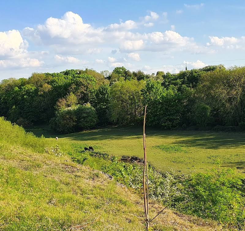Brockadale Nature Reserve