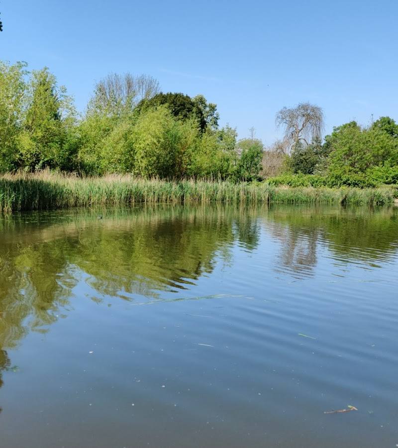 Brockwell Park Ponds — Source image