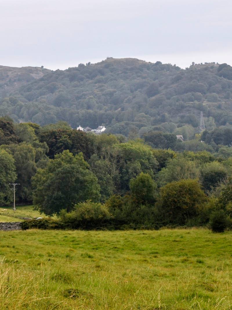 Brown Robin Nature Reserve — Place photograph