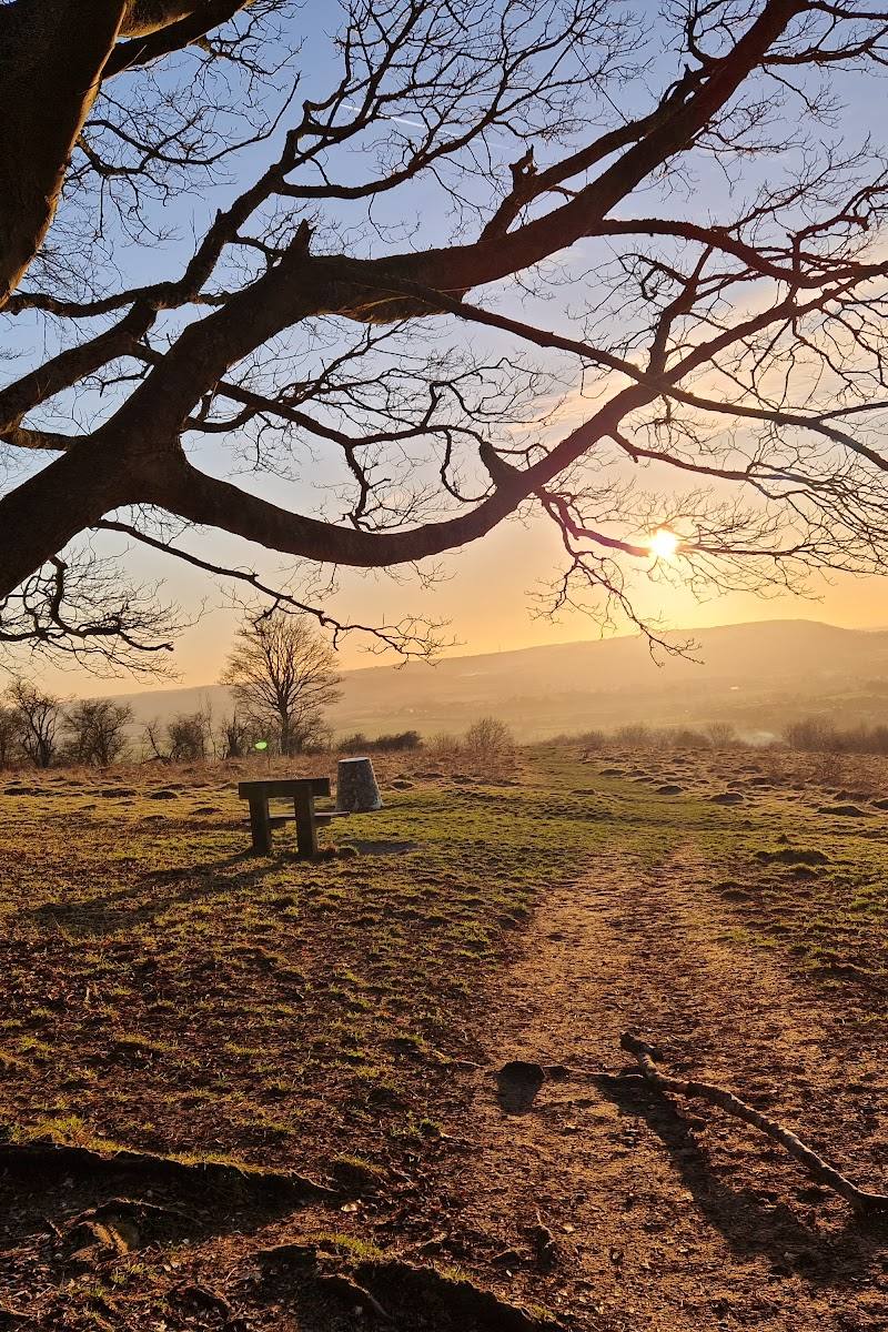 Brush Hill Nature Reserve