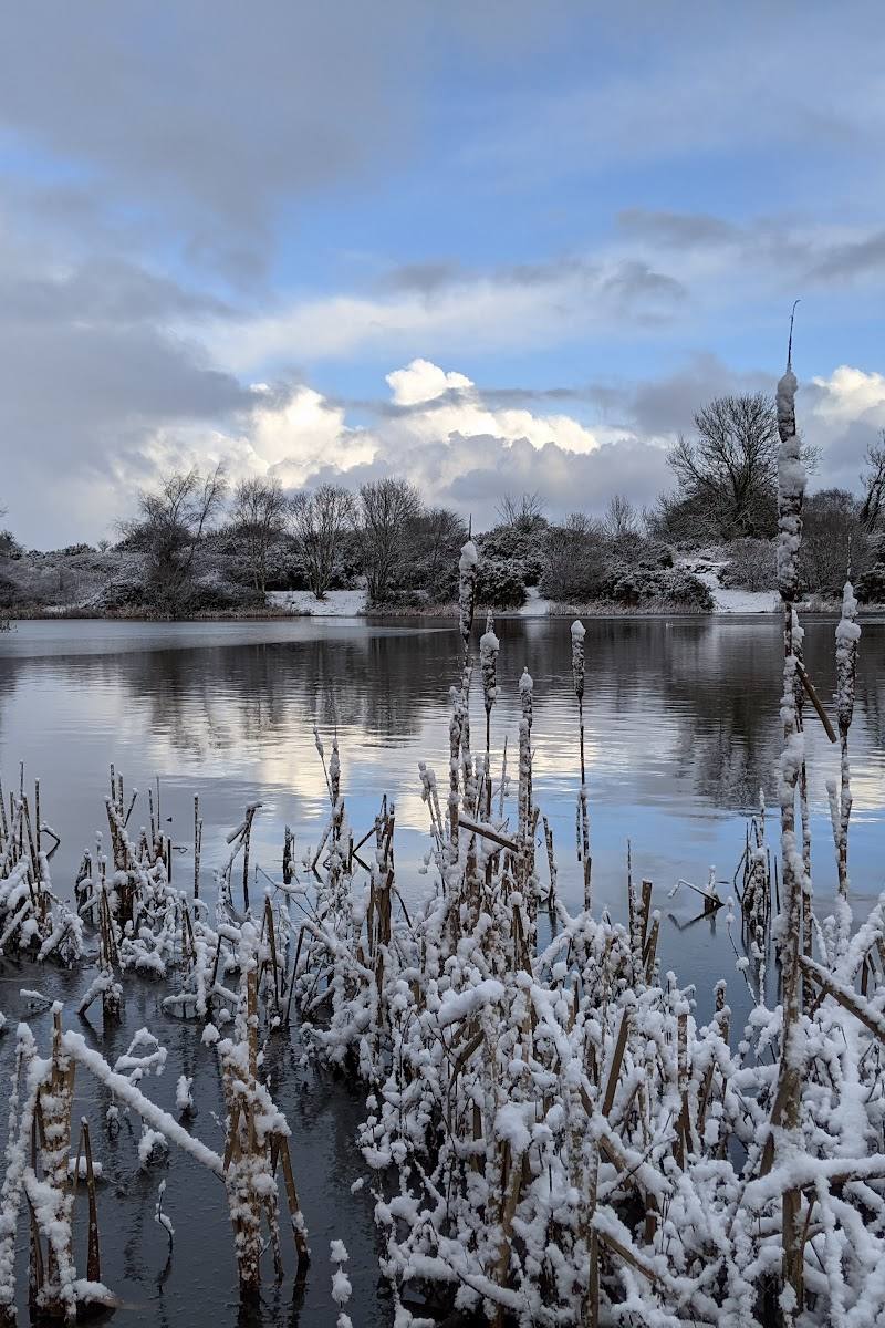 Brymbo Pool — Place photograph (2 of 3)
