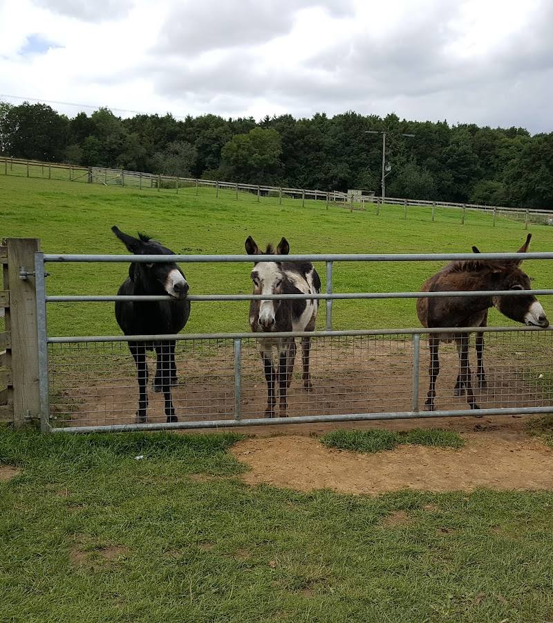 Bucklebury Farm & Deer Safari Park — Place photograph (1 of 3)
