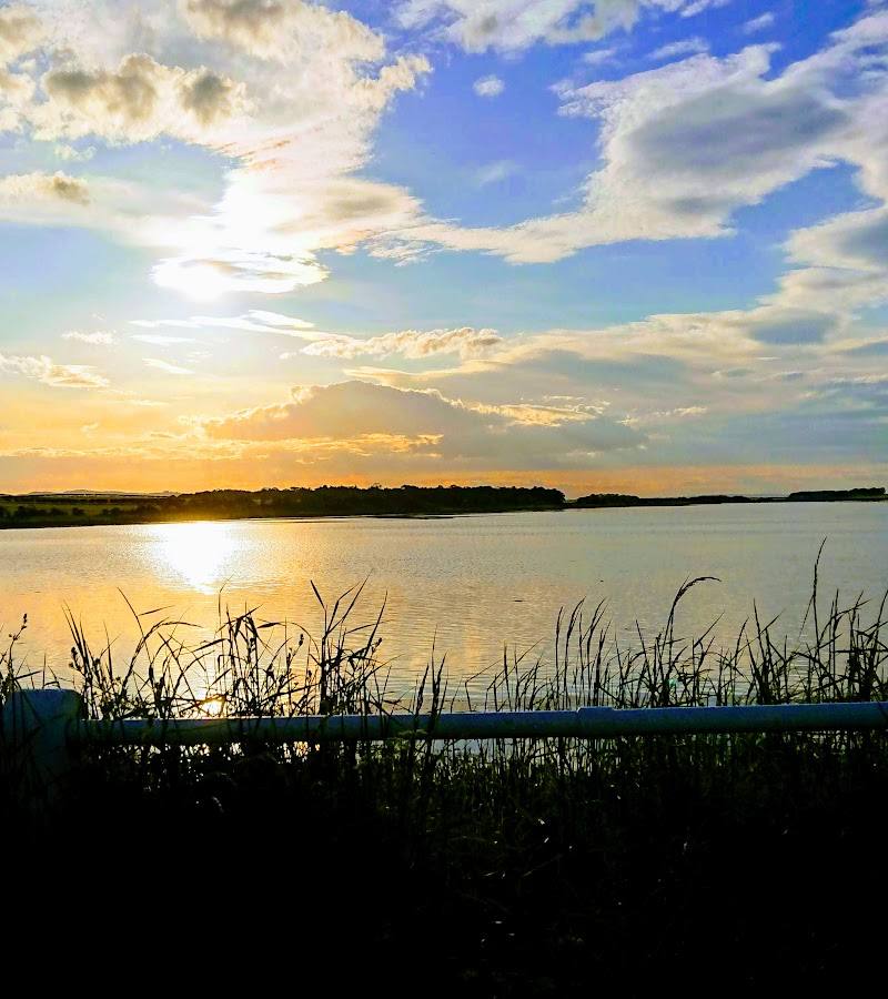 Budle Bay — Place photograph