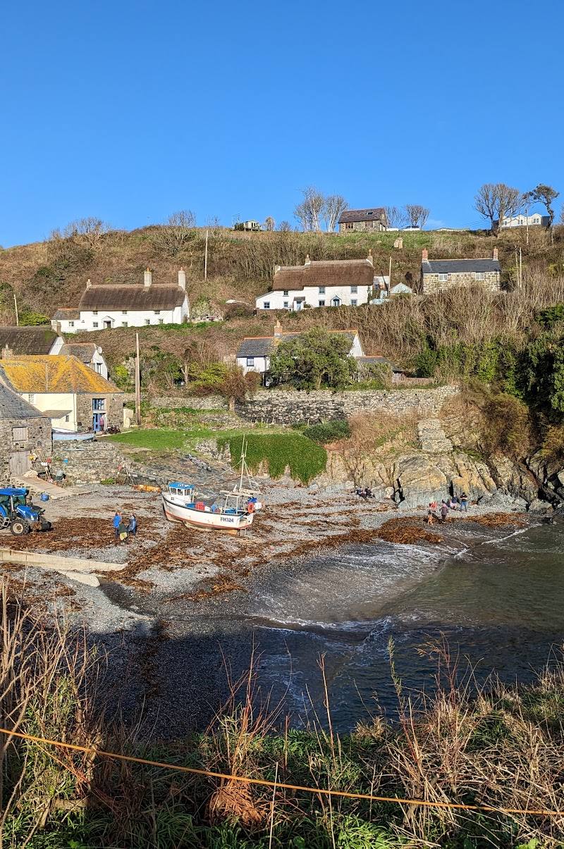 Cadgwith — Place photograph (2 of 3)