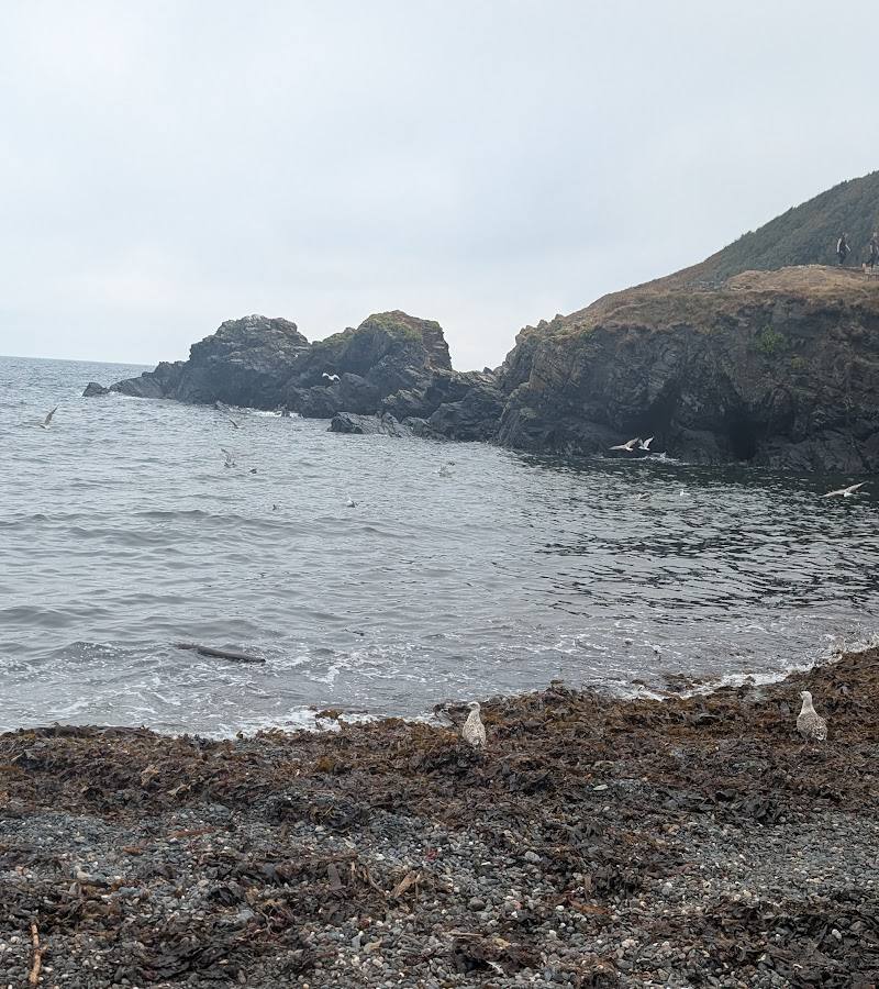 Cadgwith Cove — Place photograph (3 of 3)