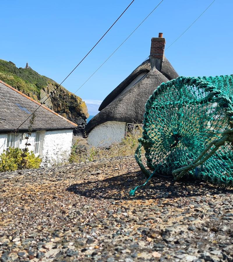 Cadgwith Cove Inn — Place photograph