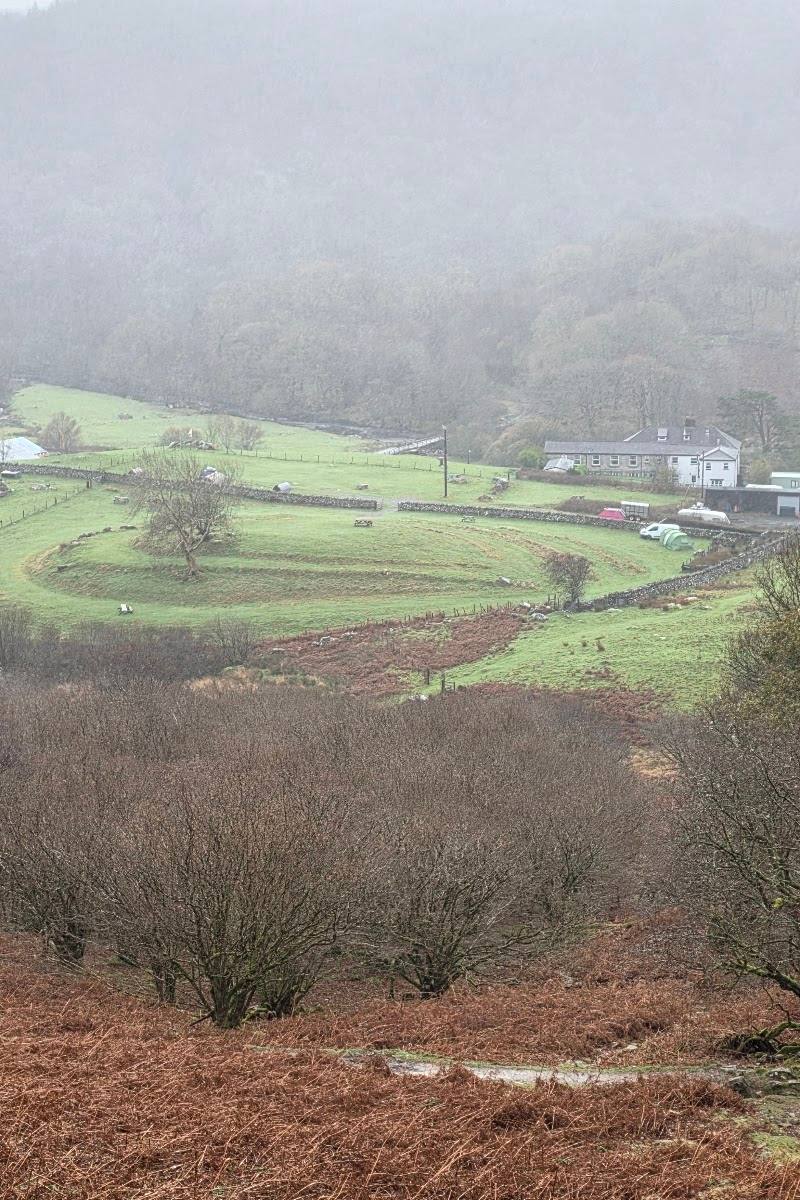 Cae'n y Coed — Place photograph (3 of 3)