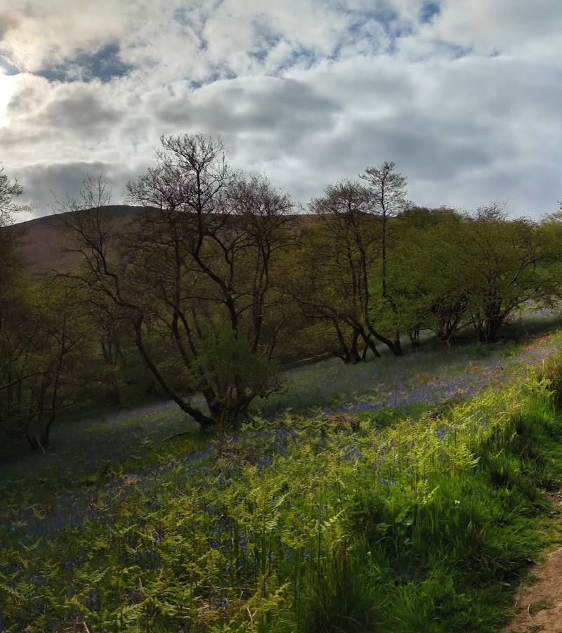 Caer Caradoc — Place photograph (3 of 3)