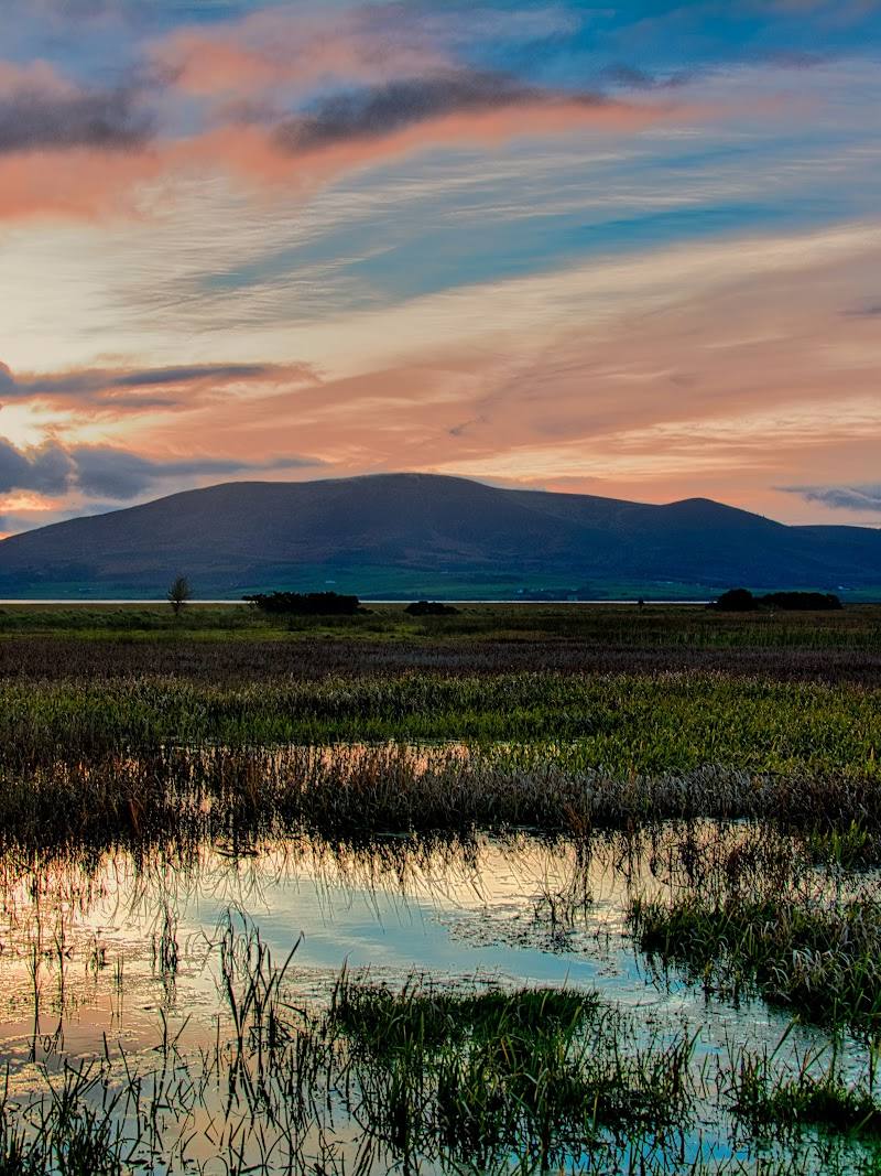 Caerlaverock National Nature Reserve