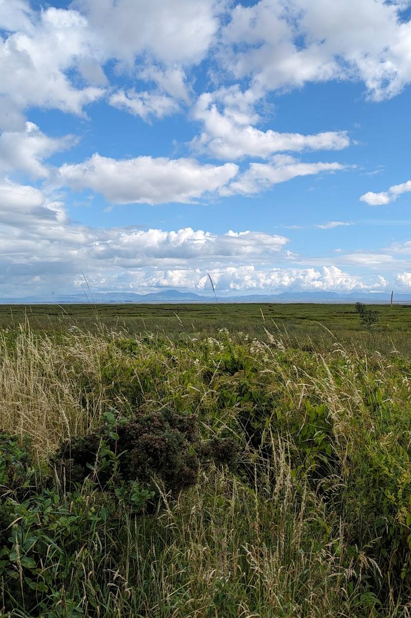 Caerlaverock National Nature Reserve — Place photograph