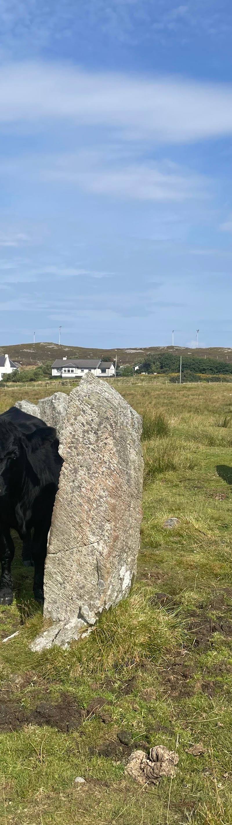 Calanais Standing Stones III
