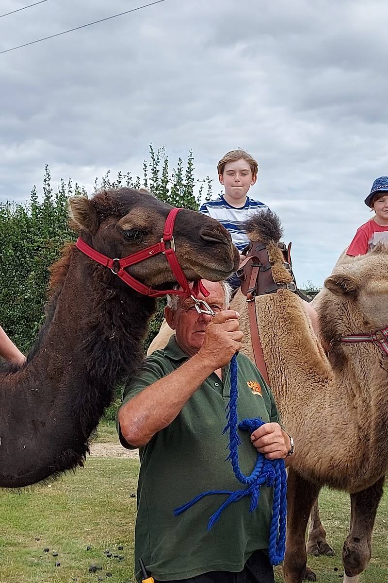 Camel Park Oasis — Place photograph