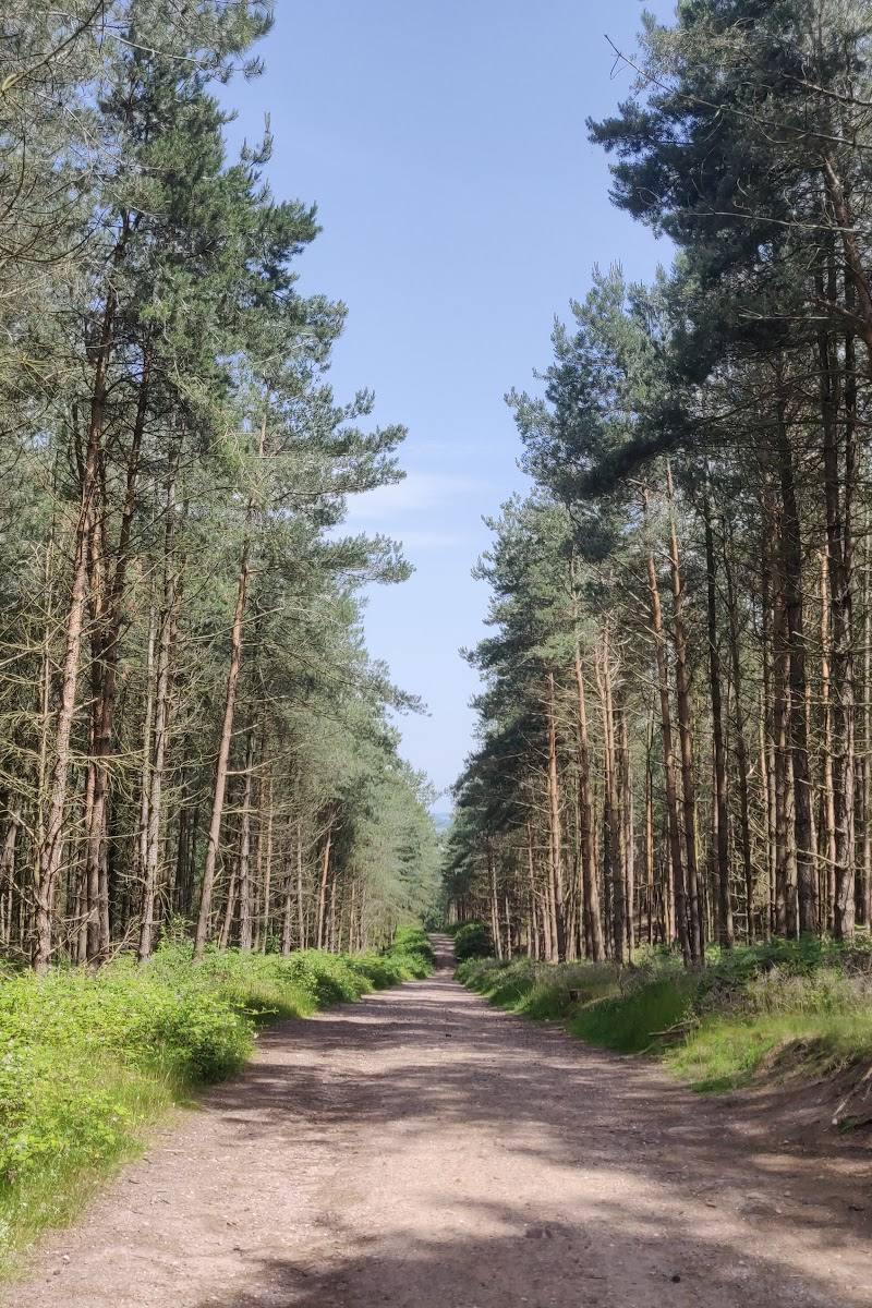 Cannock Chase National Landscape