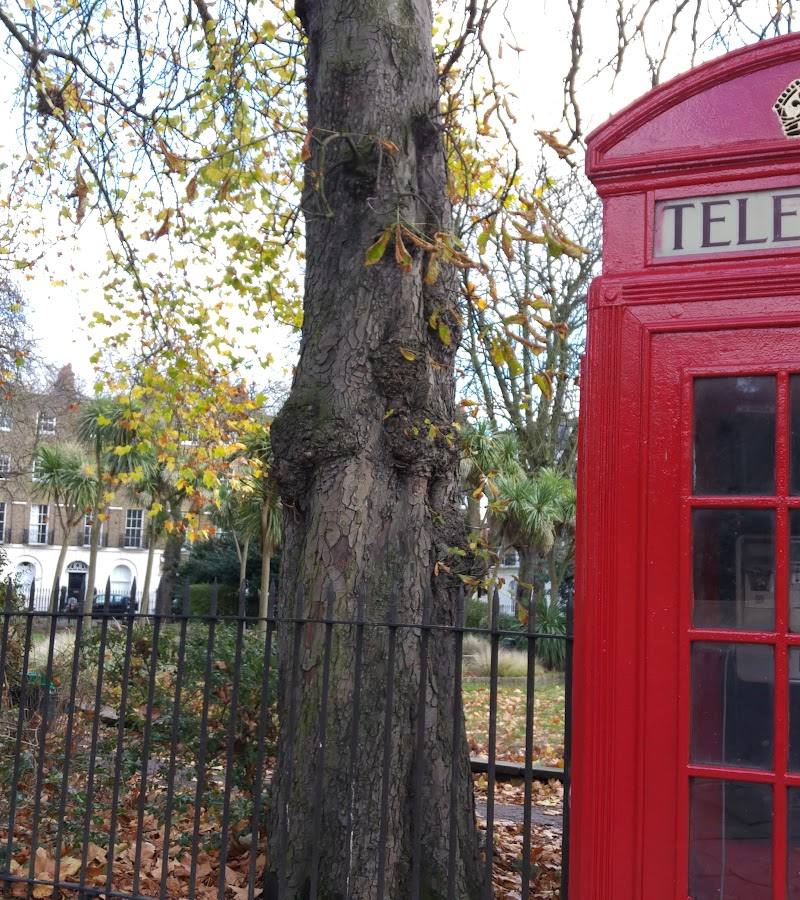 Canonbury Square garden — Place photograph (2 of 3)