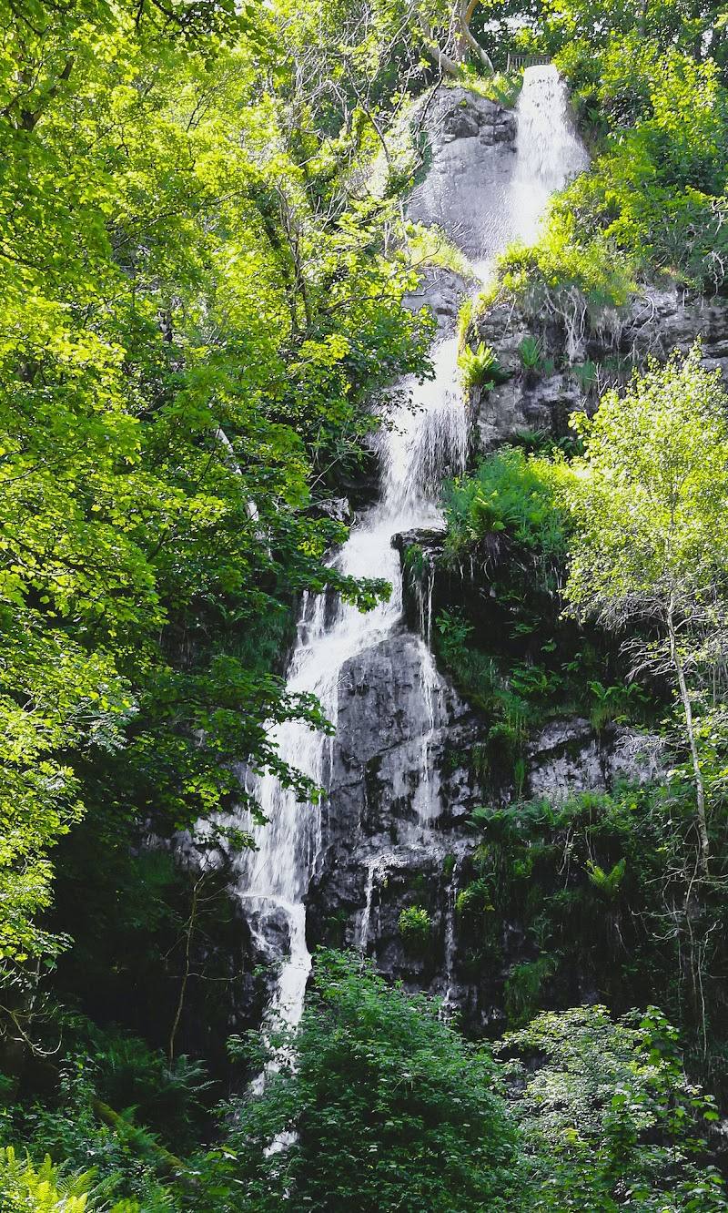 Canonteign Falls — Place photograph
