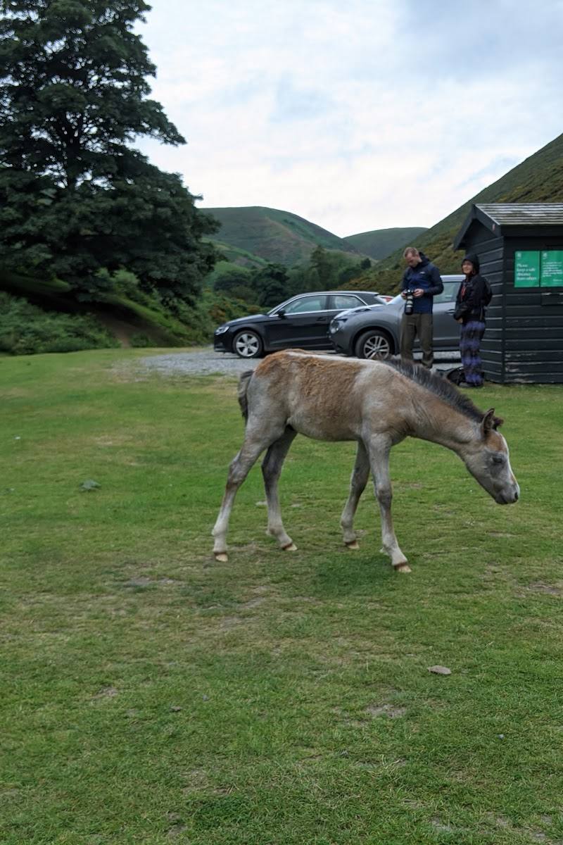 Carding Mill Valley — Place photograph (3 of 3)