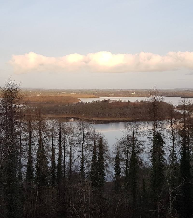 Carrickreagh Viewpoint — Place photograph