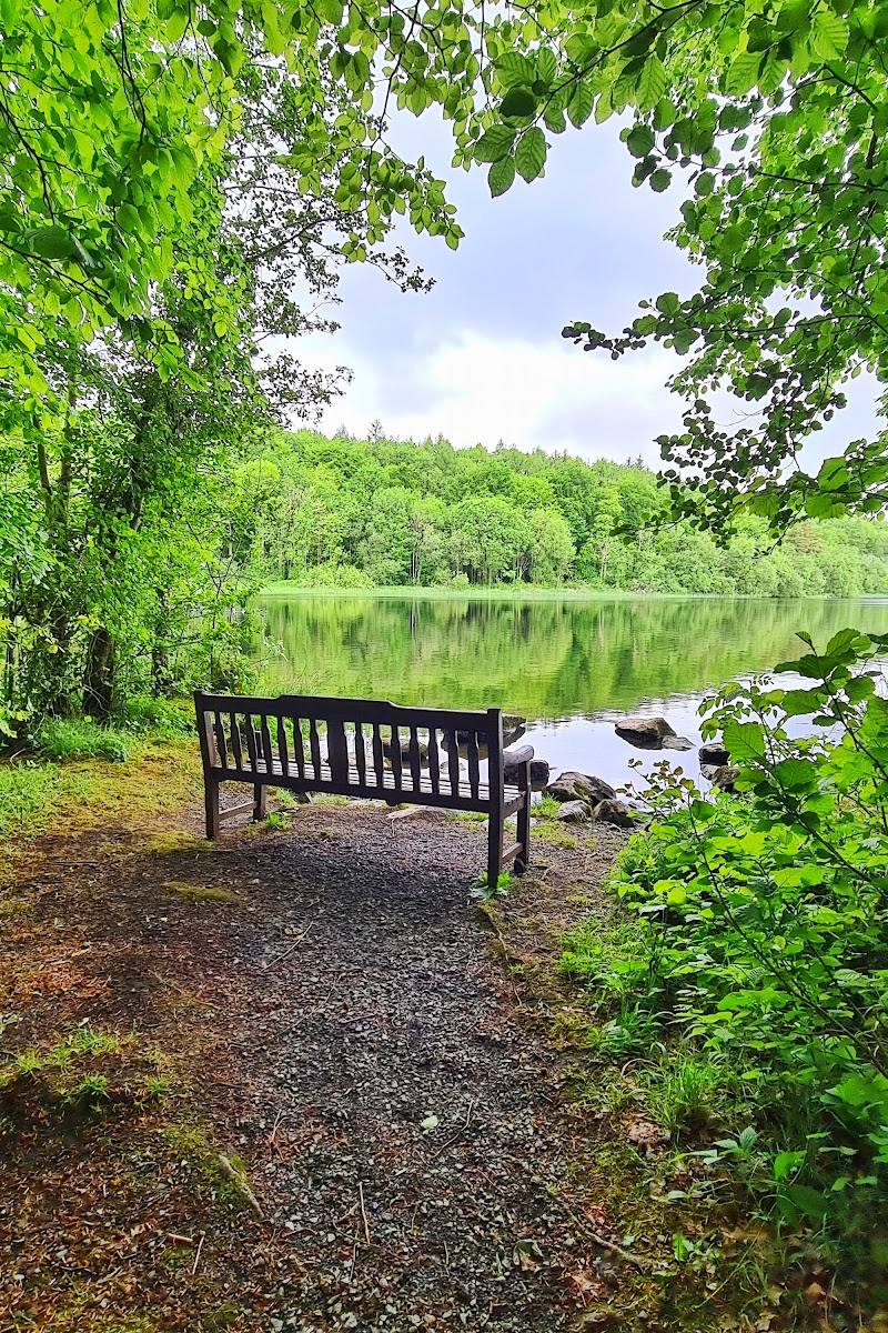 Carrickreagh Viewpoint Ely Lodge Forest