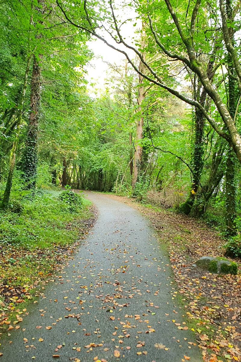 Carrickreagh Viewpoint Ely Lodge Forest