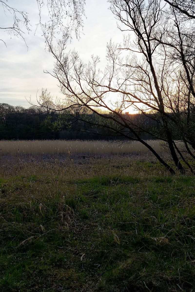 Carron Dams — Place photograph