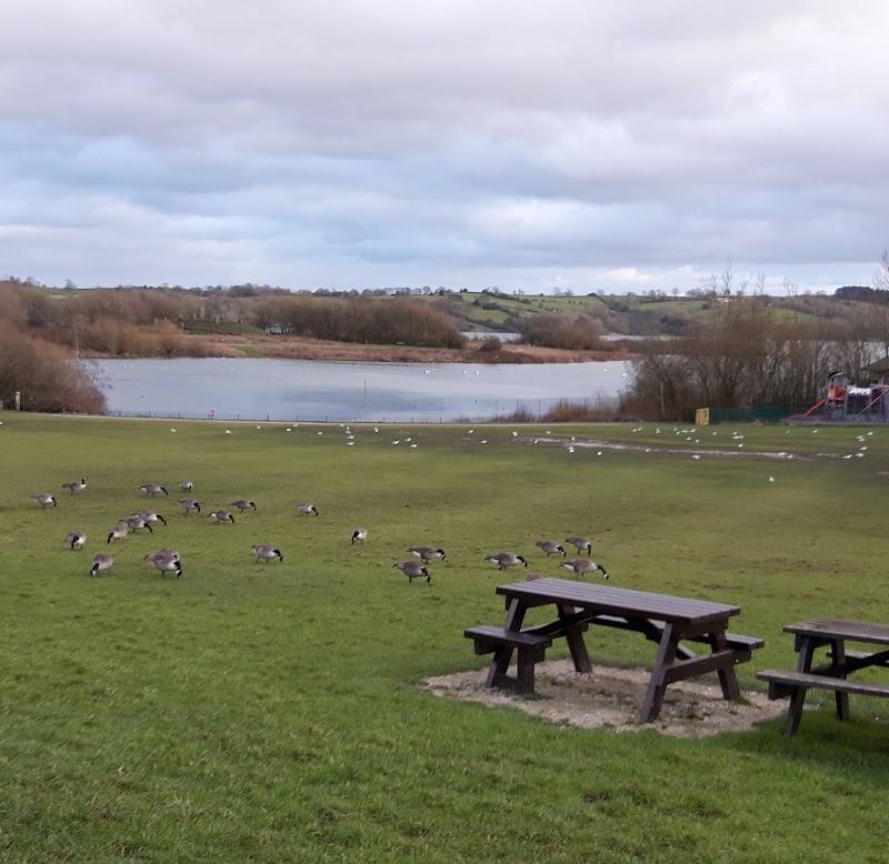Carsington Water
