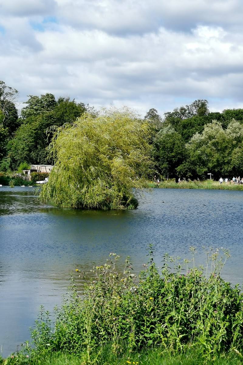 Cassiobury Farm and Fishery — Place photograph (3 of 3)