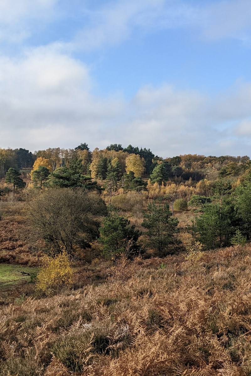 Castle Bottom National Nature Reserve — Place photograph