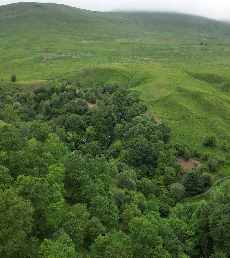 Castle Campbell