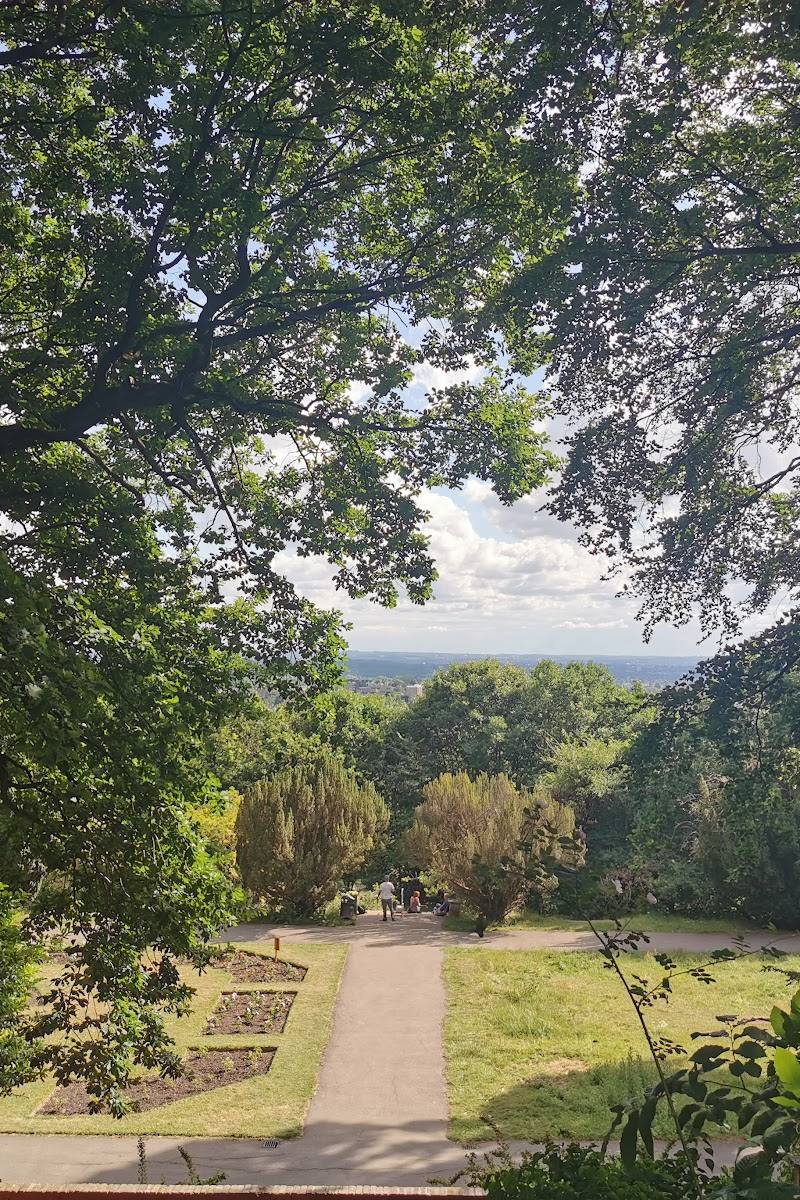 Castle Wood — Place photograph (2 of 3)