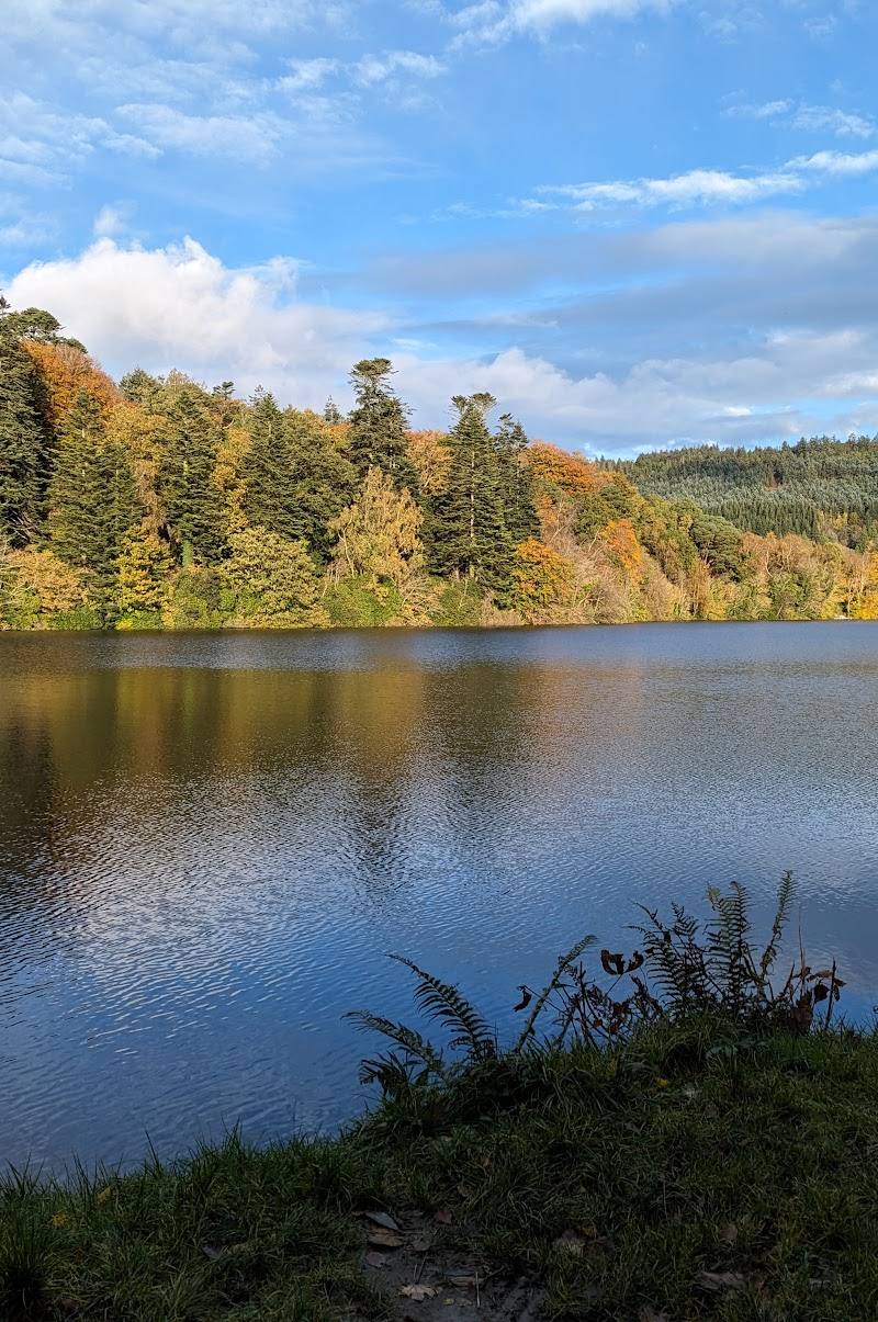 Castlewellan Country Park — Place photograph