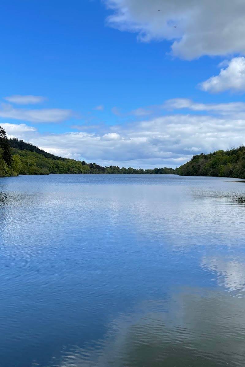 Castlewellan Forest Park — Place photograph