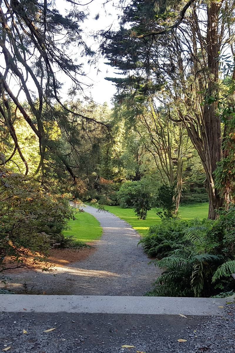 Castlewellan Forest Park